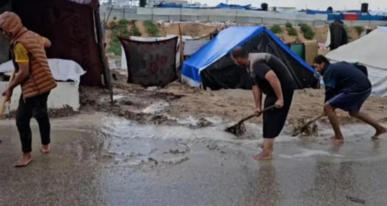 المنظمات الأهلية تدعو إلى إدخال المساعدات الإنسانية إلى قطاع غزة فوراً