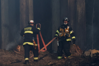 حرائق غابات تُجبر آلاف السكان في شمال اليابان على إخلاء منازلهم