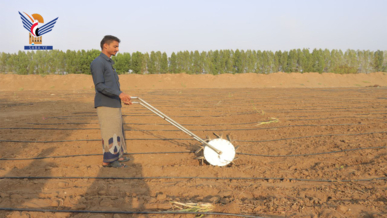 تدشين العمل بالبذارات محلية الصنع في مديرية باجل بالحديدة