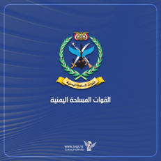 الدفاعات الجوية تسقط طائرة أمريكية نوع MQ_9   في أجواء محافظة الحديدة 