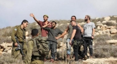 مستوطنون يواصلون اعتداءاتهم على الفلسطينيين وممتلكاتهم في الضفة الغربية والقدس المحتلة 
