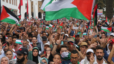 مسيرة حاشدة في تونس نصره لشعب الفلسطيني وتنديدا بحرب الإبادة