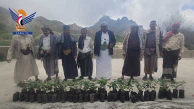 ذمار.. جمعية وصاب السافل توزع شتلات بن على المزارعين