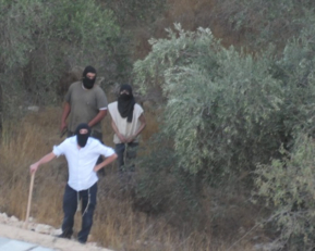 مستوطنون يهاجمون الفلسطينيين شمال غرب رام الله وآخرون يعتدون على مزارعين ببلدة سنجل