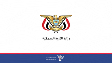 الثروة السمكية تدين استهداف تحالف حماية السفن الصهيونية لصيادين يمنيين