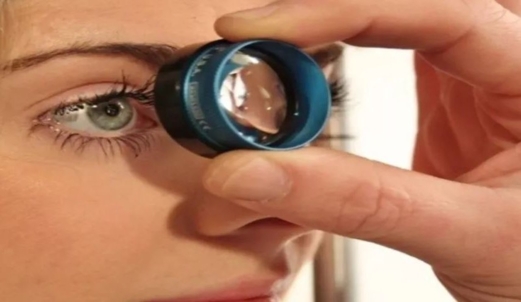 دراسة: الكشف عن علاج واعد لاستعادة البصر باستخدام الأجسام المضادة دراسة: الكشف عن علاج واعد لاستعادة البصر باستخدام الأجسام المضادة