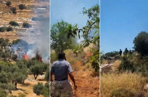 المستوطنون الصهاينة يشنون هجمات متكررة على مزارعين فلسطينيين في الأغوار ورام الله   المستوطنون الصهاينة يشنون هجمات متكررة على مزارعين فلسطينيين في الأغوار ورام الله