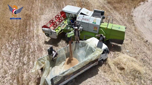  .ذمار.. المداني والبخيتي يدشّنان حصاد القمح في مزرعة الأسرة التابعة للمؤسسة الاقتصادية