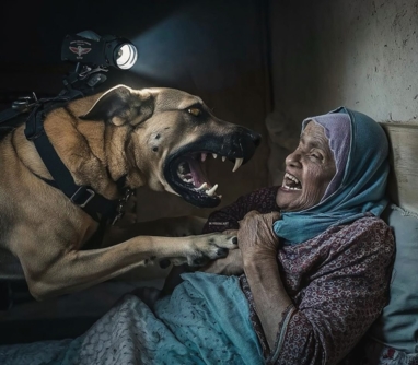 العدو الصهيوني يستخدم كِلاب مُزودة بكاميرات لاستهداف الفلسطينيين في غزة العدو الصهيوني يستخدم كِلاب مُزودة بكاميرات لاستهداف الفلسطينيين في غزة