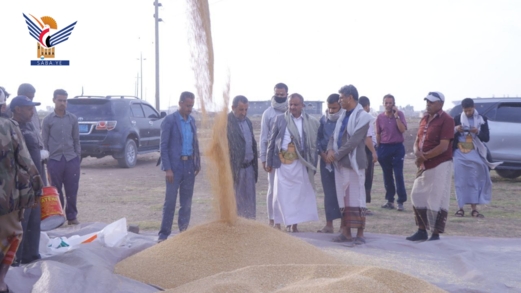 الرباعي يدشّن موسم حصاد بذور القمح الشتوي بذمار