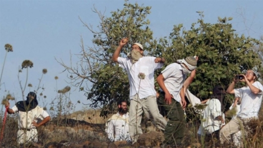مستوطنون يعتدون على الفلسطينيين في نبع غزال بالأغوار الشمالية..وآخرون  يهاجمون خربة الطويل شرق نابلس
