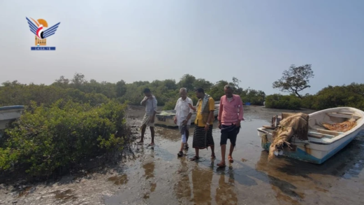 وكيل قطاع الثروة السمكية يتفقد مركز إنزال بحيص في حجة