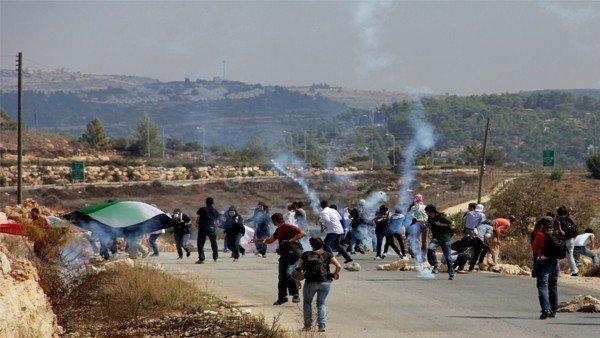 العدو الصهيوني يصيب عدة فلسطينيين بالاختناق في رام الله وينصب حاجزًا ببلدة الخضر