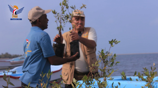 الحديدة.. تدشين المبادرة الثالثة لزراعة أشجار المانجروف بساحل الدريهمي