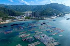 الناتج الإجمالي البحري في الصين يبلغ نحو 708.3 مليار دولار أمريكي خلال النصف الأول