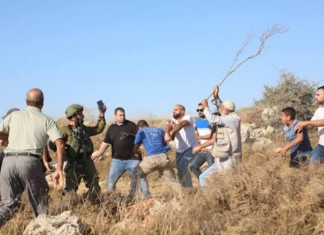 مستوطنون يعتدون على الفلسطينيين وممتلكاتهم بالضفة الغربية المحتلة