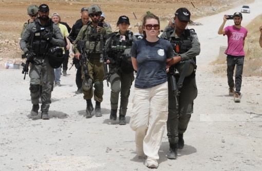 العدو الصهيوني يعتقل 3 فلسطينيين ومتضامن أجنبي في رام الله وطولكرم