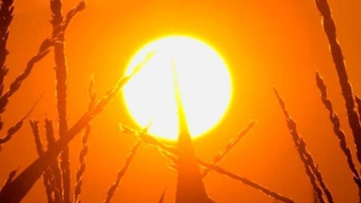 دراسة: نصف سكان العالم تعرضوا لشهر إضافي من الحر الشديد بسبب التغير المناخي