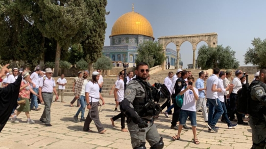 "محافظة القدس": 1153مستوطنًا اقتحموا الأقصى خلال أسبوع