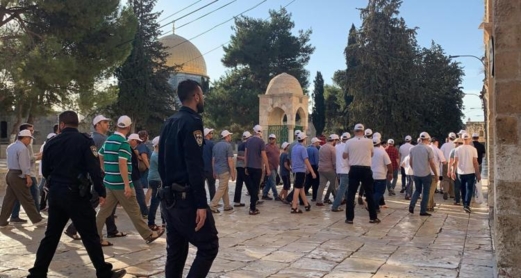 مركز فلسطيني:4100 مستوطن اقتحموا الأقصى خلال نوفمبر الماضي