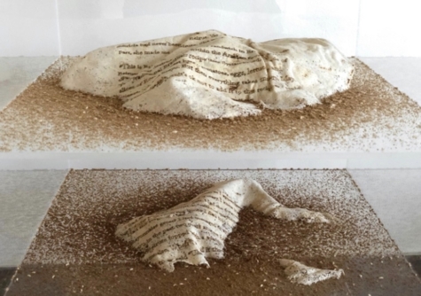 معرض تشكيلي يعالج ظواهر لبنانية وأزمة النقد في بيروت معرض تشكيلي يعالج ظواهر لبنانية وأزمة النقد في بيروت