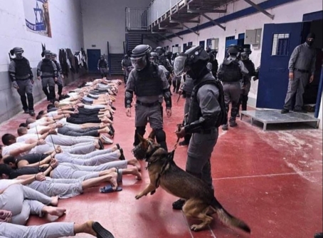 الخبير في شؤون الأسرى الفلسطينيين، جمال فراونة لـ"سبأ": أسرانا بحاجة اليوم لوقفة جادة وحراك واسع  