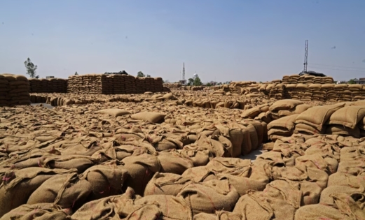 الفاو: أسعار الغذاء العالمية ارتفعت في مارس مع ارتفاع تكاليف الطاقة نتيجة الحرب 