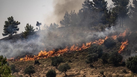 نجاة رئيس بلدية في جنوب لبنان من نيران جيش العدو الإسرائيلي