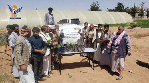  توزيع ثلاثة آلاف شتلة فاكهة على المزارعين في ذمار