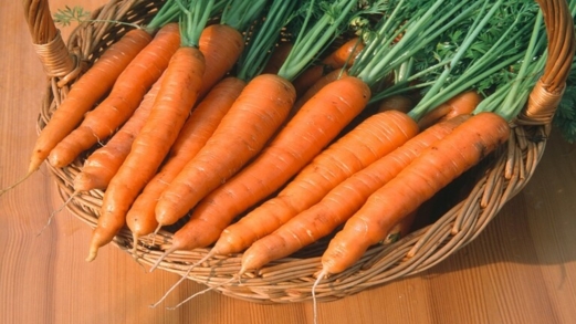 متى اكتسب الجزر لونه البرتقالي؟ متى اكتسب الجزر لونه البرتقالي؟