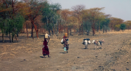 البنك الدولي :39 دولة تعاني أوضاع هشة مع تنامي الصراعات