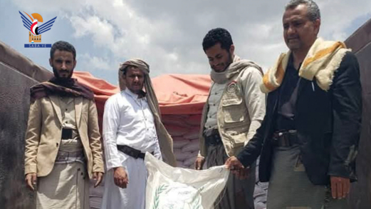 توزيع 37 طناً بذور محسّنة للجمعيات التعاونية لمنتجي الحبوب في إب