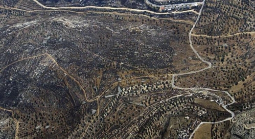 ‏العدو الإسرائيلي يصدر قراراً بالاستيلاء على أكثر من 109 دونمات في القدس