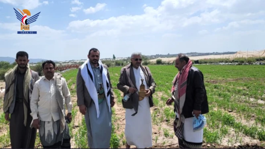 الضالع.. تفقد مستوى إنتاج المحاصيل الزراعية في الظاهرة بمديرية دمت الضالع.. تفقد مستوى إنتاج المحاصيل الزراعية في الظاهرة بمديرية دمت