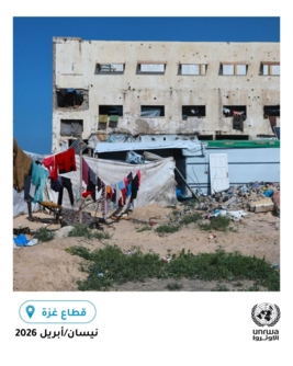 "أونروا":المنازل في قطاع غزة مدمرة بحاجة إلى إصلاحات لتصبح صالحة للاستخدام 