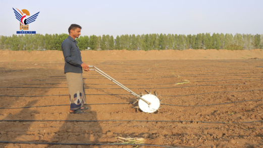 تدشين العمل بالبذارات محلية الصنع في مديرية باجل بالحديدة