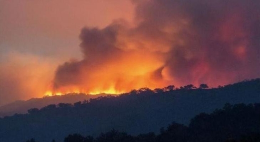 المغرب يواصل إخماد حريق غابة تمروت المغرب يواصل إخماد حريق غابة تمروت