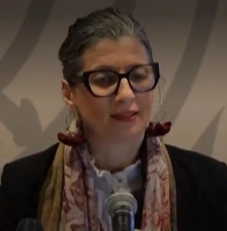 مقررة أممية: القانون الدولي تحت التهديد وحريات الغرب تتلاشى