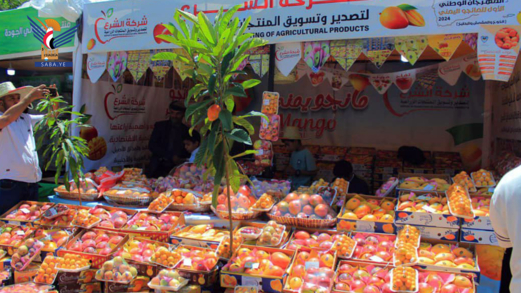 "ملكة الفاكهة".. تستعيد رونقها والثقة في جودتها خلال المهرجان الأول للمانجو
