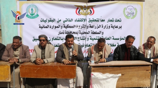 تدشين حصاد وشراء بذور الفاصوليا من مزارعي مخلاف منقذة بمديرية ذمار