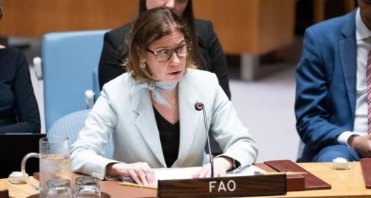 "الفاو": نظم الأغذية الزراعية في غزة قد انهارت كليًا