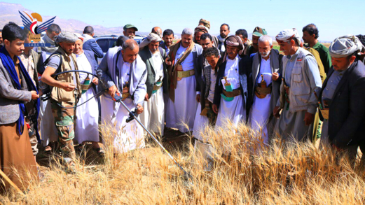 الرباعي والهادي يدّشنان موسم حصاد القمح الشتوي بمديرية بني مطر