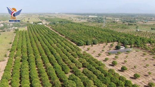 مديرية باجل.. نموذج تنموي واعد لتعزيز الاكتفاء الذاتي في الإنتاج المحلي