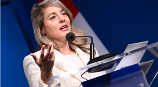 كندا توقف صادرات الأسلحة إلى إسرائيل كندا توقف صادرات الأسلحة إلى إسرائيل