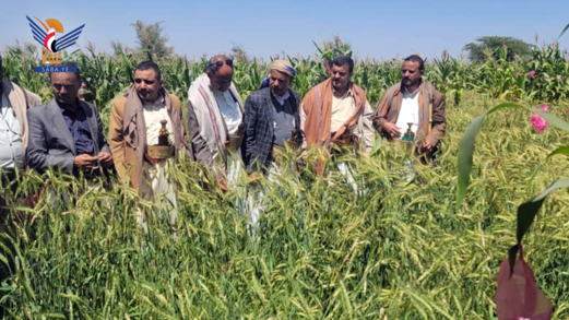 الاطلاع على تجربة زراعة القمح بمديرية خدير في تعز