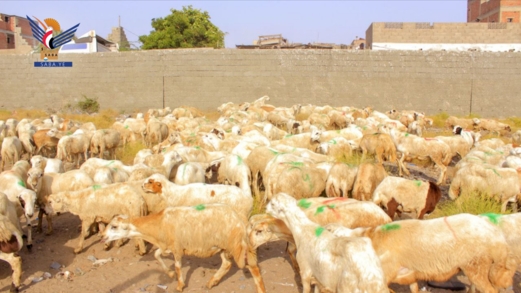 'الحديدة' تسيّر قافلة عيدية للمرابطين في جبهة الساحل الغربي