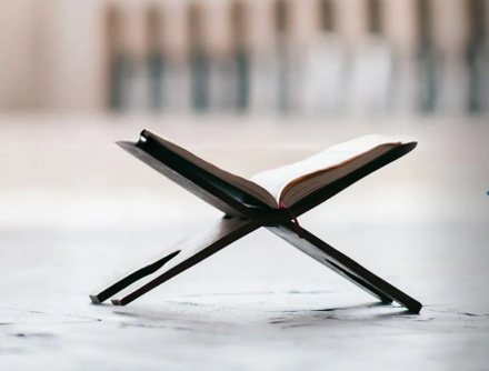 فلسفة الكثرة والقلة في القرآن الكريم