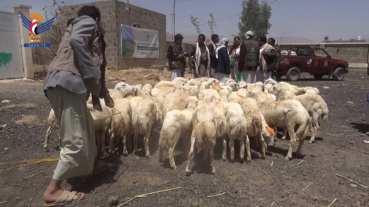 تدشين مشروع توزيع الأضاحي لأسر الشهداء والمفقودين في عمران