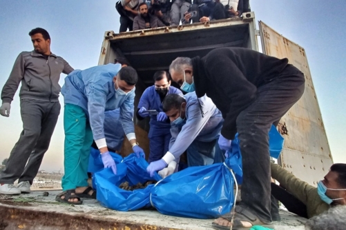 "الصحة"بغزة تؤكد تعرض الشهداء للتعذيب وتطالب بمساعدة دولية للتعرف على جثامينهم   "الصحة"بغزة تؤكد تعرض الشهداء للتعذيب وتطالب بمساعدة دولية للتعرف على جثامينهم