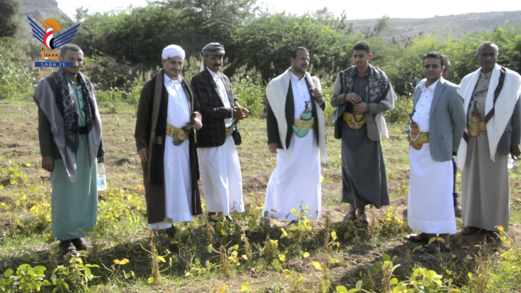  حصاد تجربة زراعة فول الصويا والقمح بعزلة الحبيبة وتشتيل نواة التمر في مقبنة بتعز